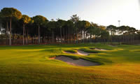 carya golf club